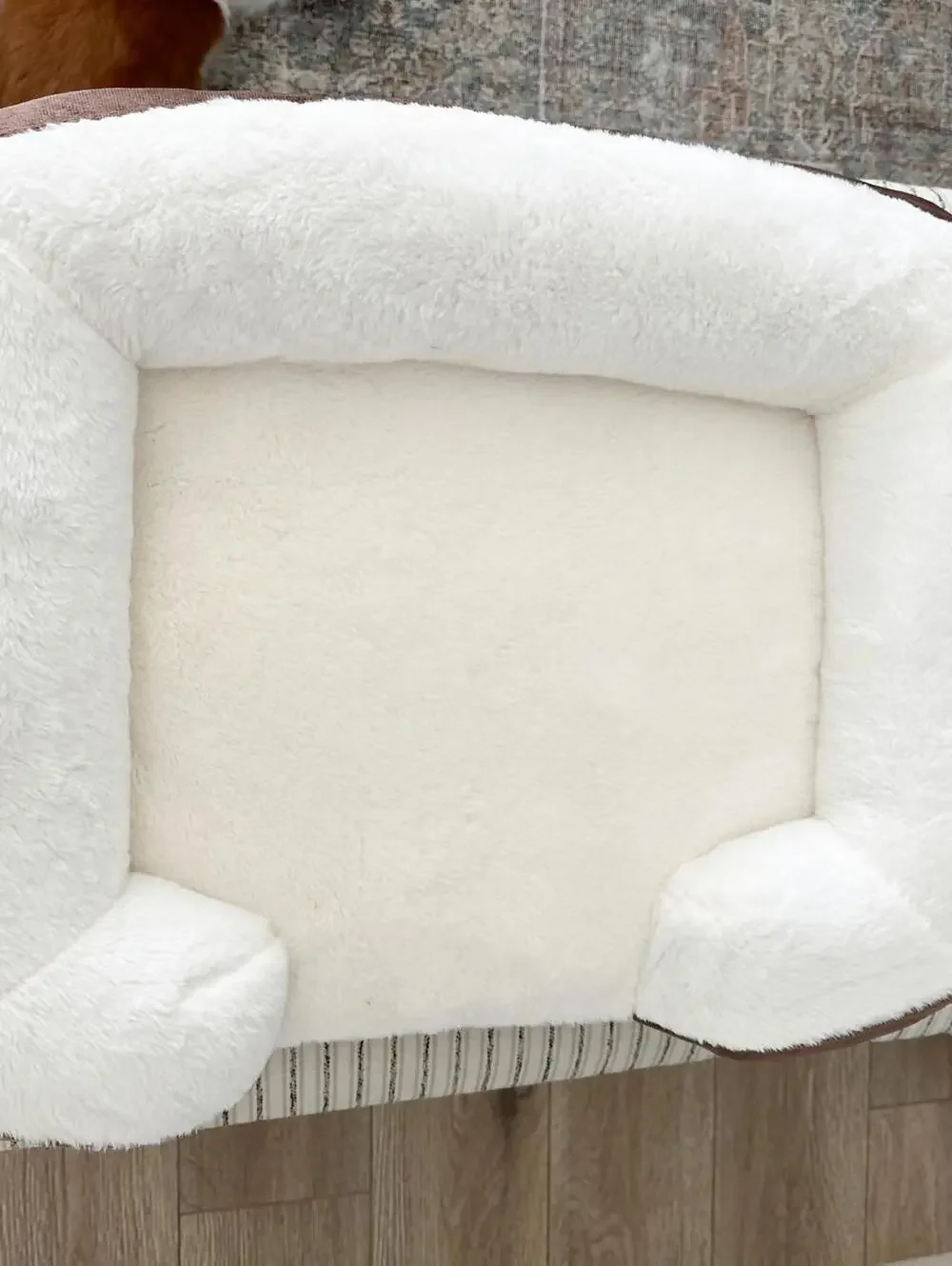 Serta Dog Memory Foam Bed